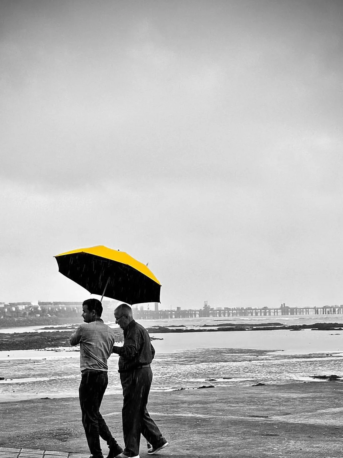 Monsoon Frames